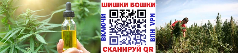 купить   Солнечногорск  МЕГА ссылки  Печенье с ТГК конопля 
