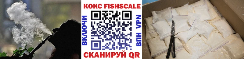 дарнет шоп  MEGA зеркало  Кокаин Эквадор  Солнечногорск 