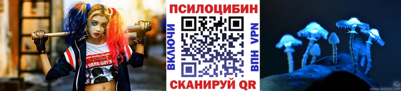 где купить наркотик  мега как зайти  Галлюциногенные грибы прущие грибы  Солнечногорск 