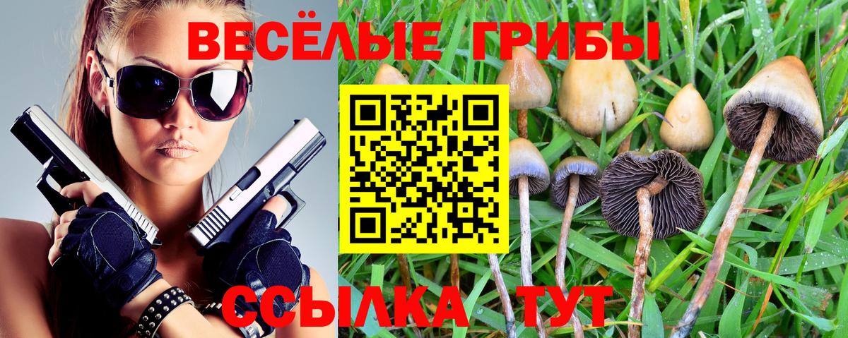 Солнечногорск  Галлюциногенные грибы Magic Shrooms  Галлюциногенные грибы ЛСД  Вход с VPN 